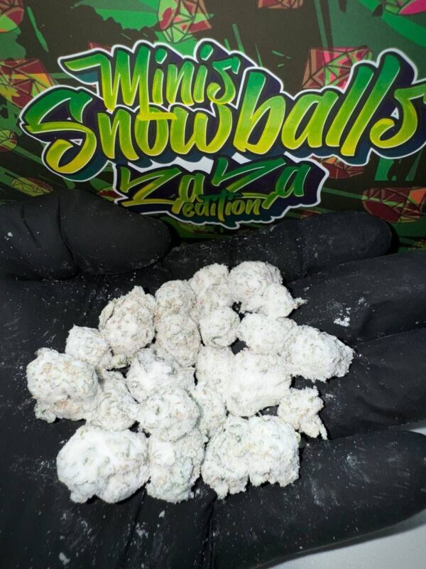 Persy mini snowballs zaza edition