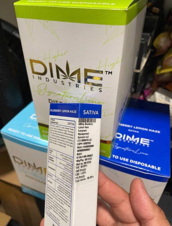 Dime Disposable Pen 1000mg