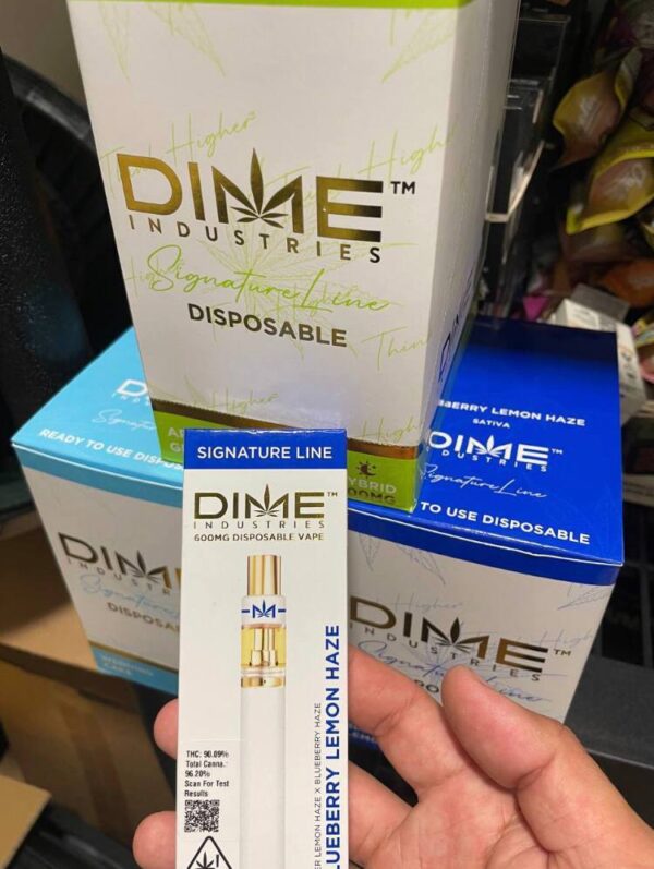 Dime Disposable Pen 1000mg