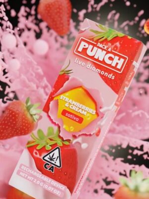 Pack a Punch Disposable 2g