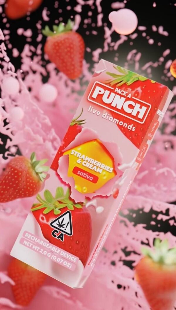 Pack a punch disposable 2g